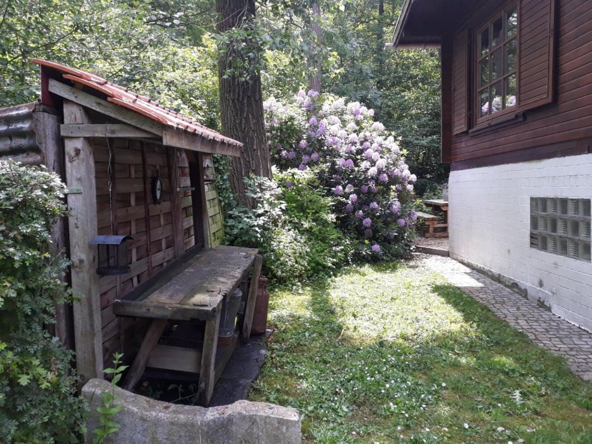 Scottish Wood Lodge Ieper Ngoại thất bức ảnh