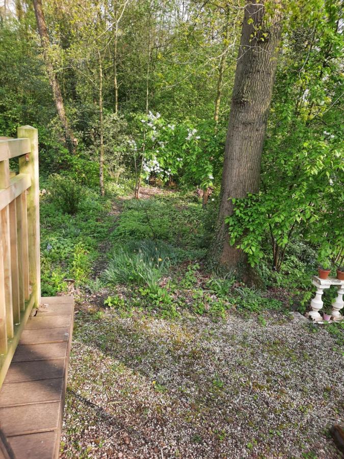 Scottish Wood Lodge Ieper Ngoại thất bức ảnh