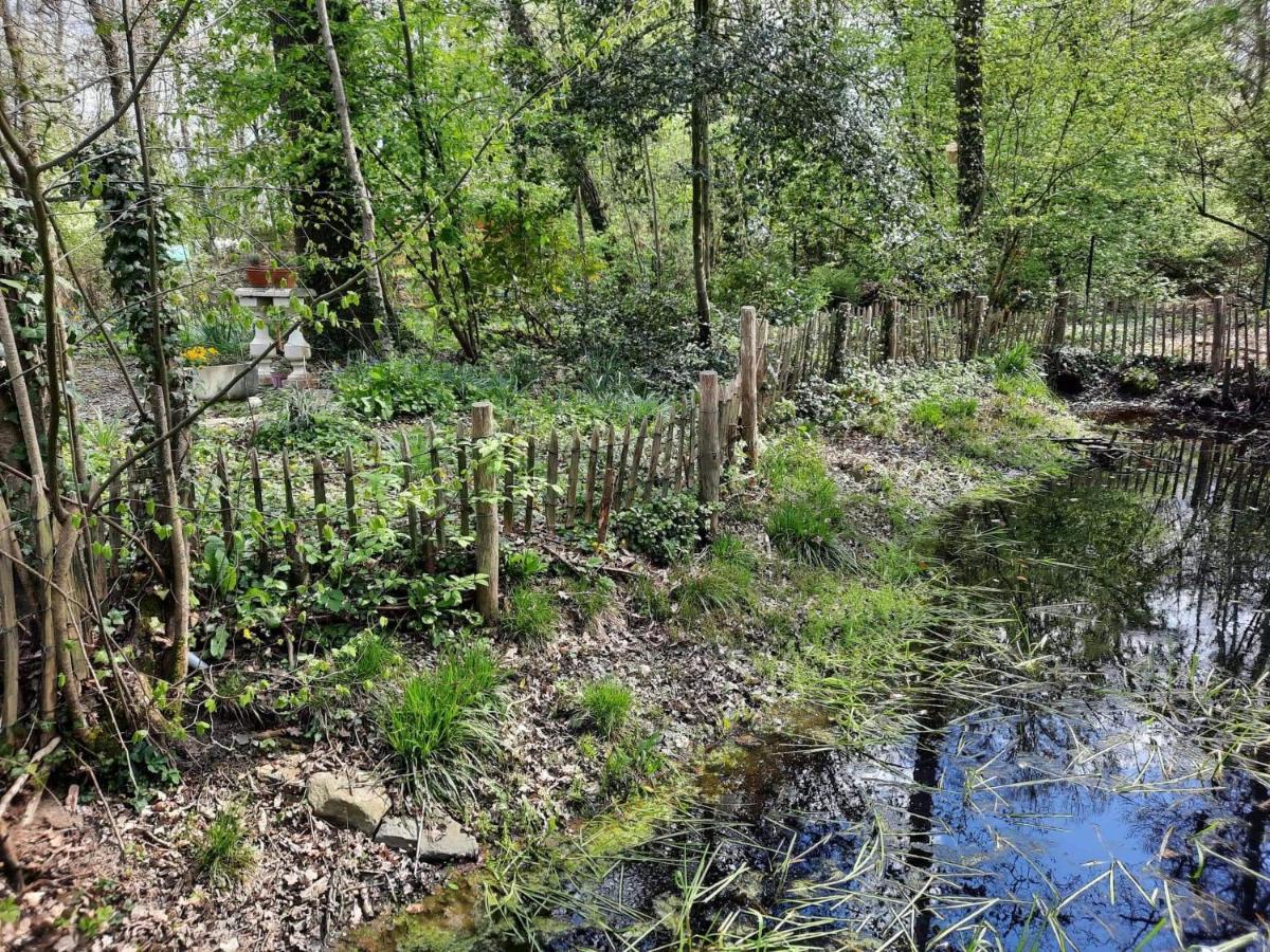 Scottish Wood Lodge Ieper Ngoại thất bức ảnh