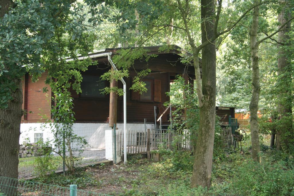 Scottish Wood Lodge Ieper Phòng bức ảnh
